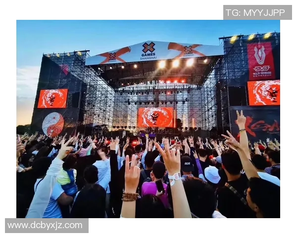 南京极限运动队在全国团队协作排行榜中荣获第九名的佳绩分析