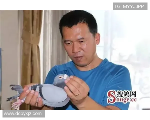 周伟独家分享羽毛球技巧与心得助你提升竞技水平与乐趣 周伟独家分享羽毛球技巧与心得助你提升竞技水平与乐趣